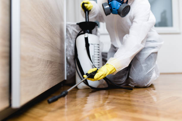 Best Best Pest Control Companies  in Albion, IN