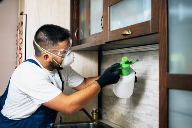 Flea Control Services in Albion, IN