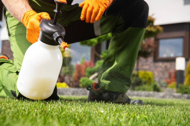 Best Cockroach Control Services  in Albion, IN