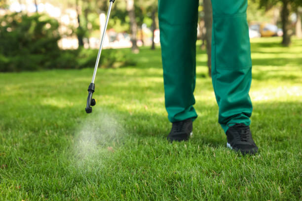 Best Pest Control Near Me  in Albion, IN
