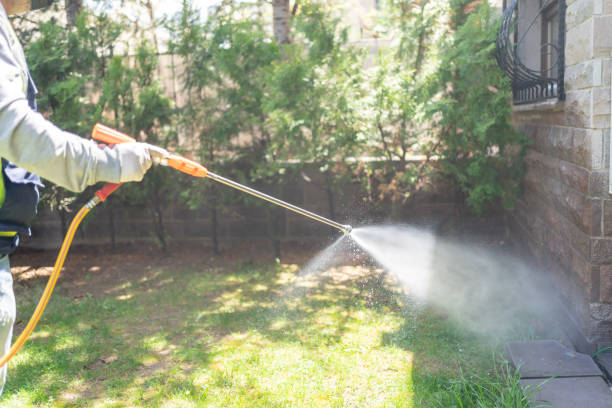 Wasp Removal Services in Albion, IN