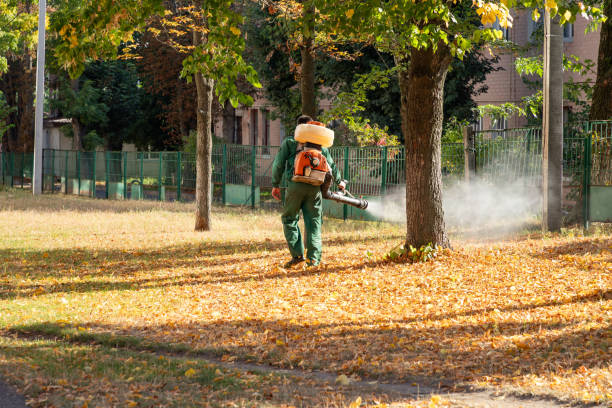 Best Pest Inspection Near Me  in Albion, IN