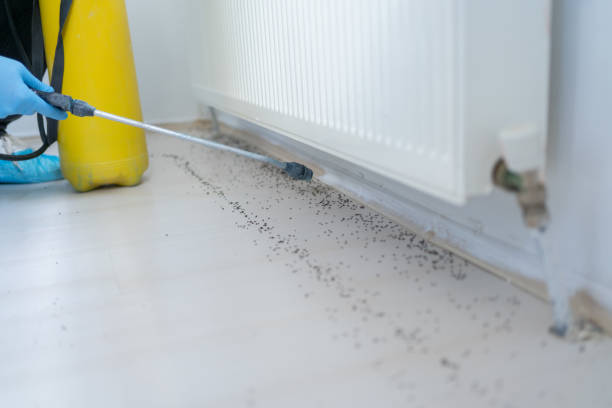 Best Mosquito Control Services  in Albion, IN